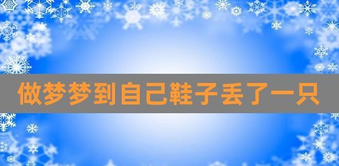 梦见丢了一只鞋子有什么预兆是什么意思啊