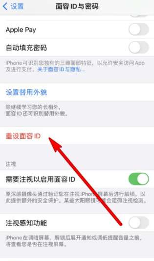 iphone人脸识别,苹果手机如何设置人脸识别解锁功能图5