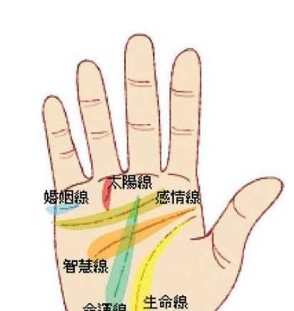 我想问问双重智慧线有几种类型