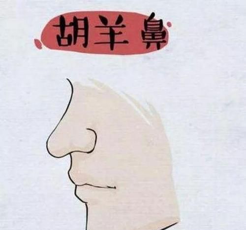 什么样的鼻子财运好