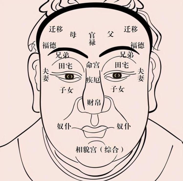 为什么看面相都可以算得那么准呢