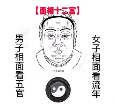 相由心生，命运好不好，看面相,相由心生一个人是什么命真的能从脸上看出来图7