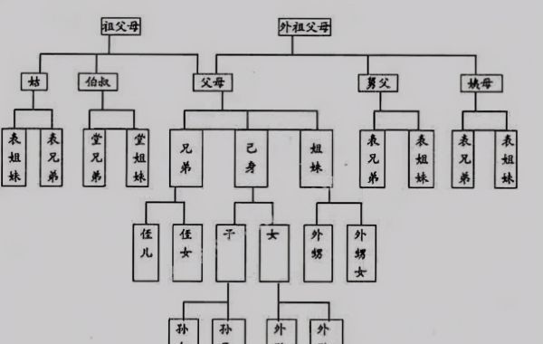 祖孙三代兄弟不和,为什么农村大多数的兄弟姊妹关系不好图4