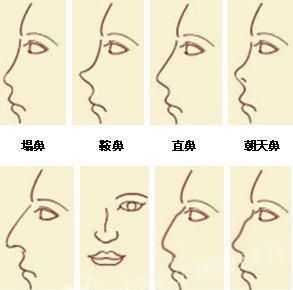 从鼻子可以看出一个人的财运吗