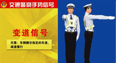 变道信号的警察手势,交警手势大全及解释图12