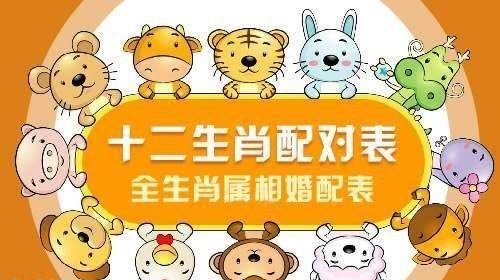 牛鸡属相合不合,牛和鸡属相合不合 孩子图5