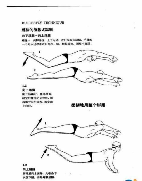 初学游泳换气技巧