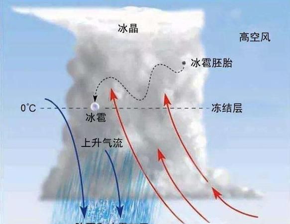 为什么冬天下雨不下雪