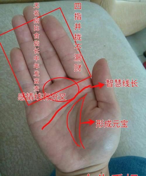 女人的事业线到感情线停止是什么意思