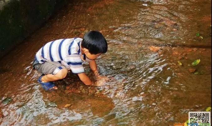 梦见涨水打牌会赢吗